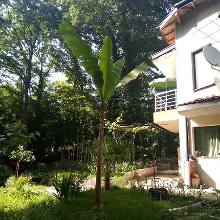 Gasthuis Apartment's Pita & Mare