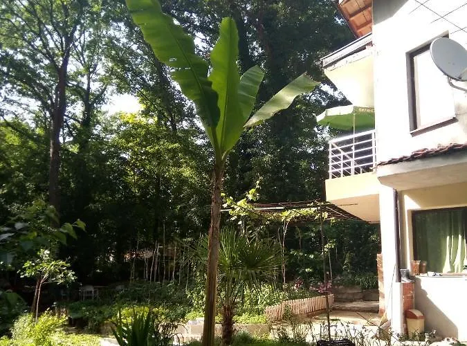 Gasthuis Apartment's Pita & Mare